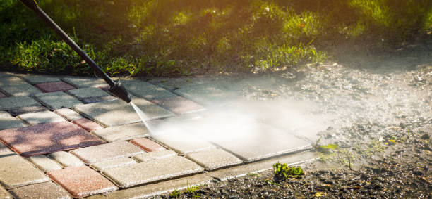 Best Fence Cleaning  in Fannett, TX